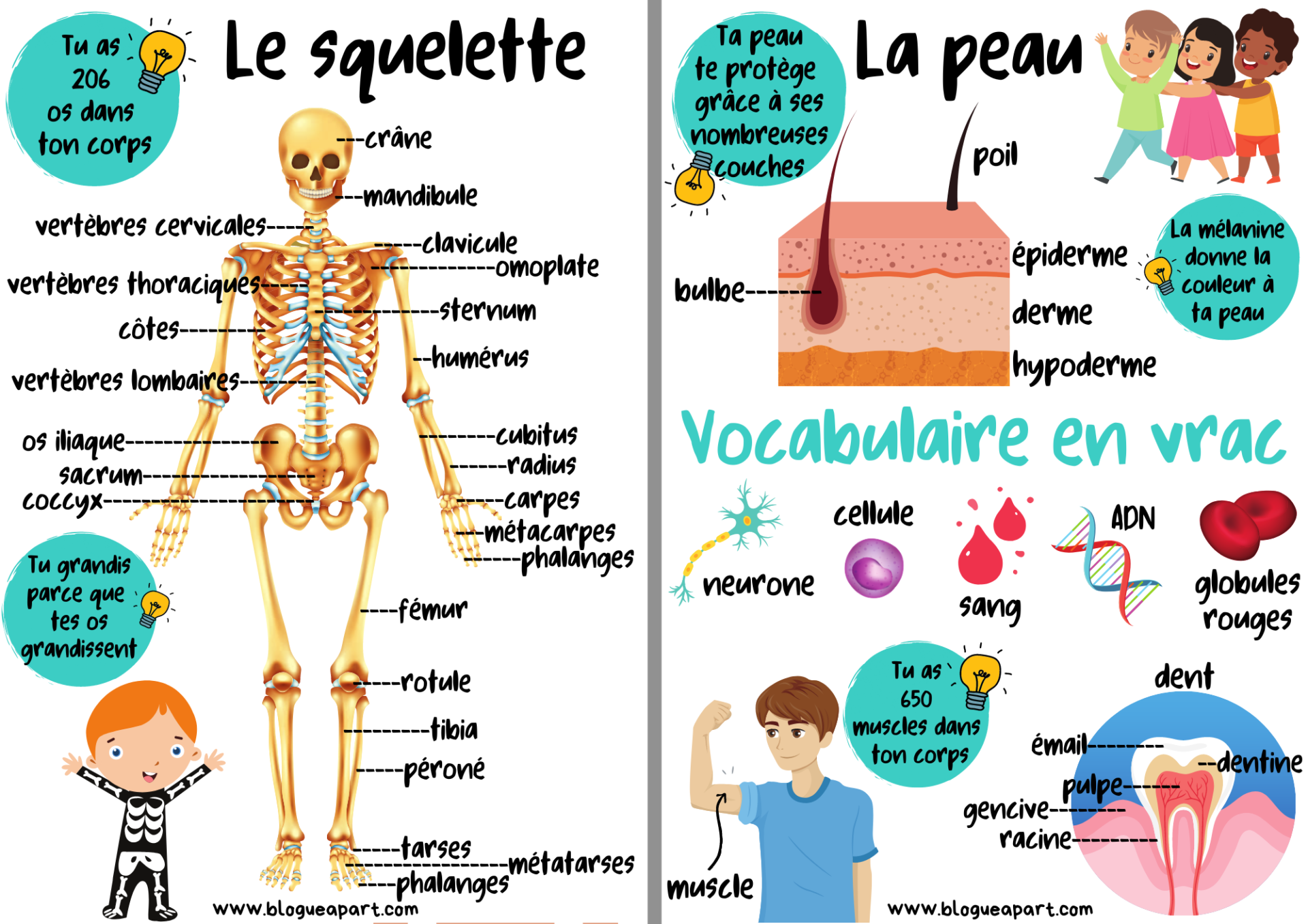 Mes Imagiers Blogue A Part