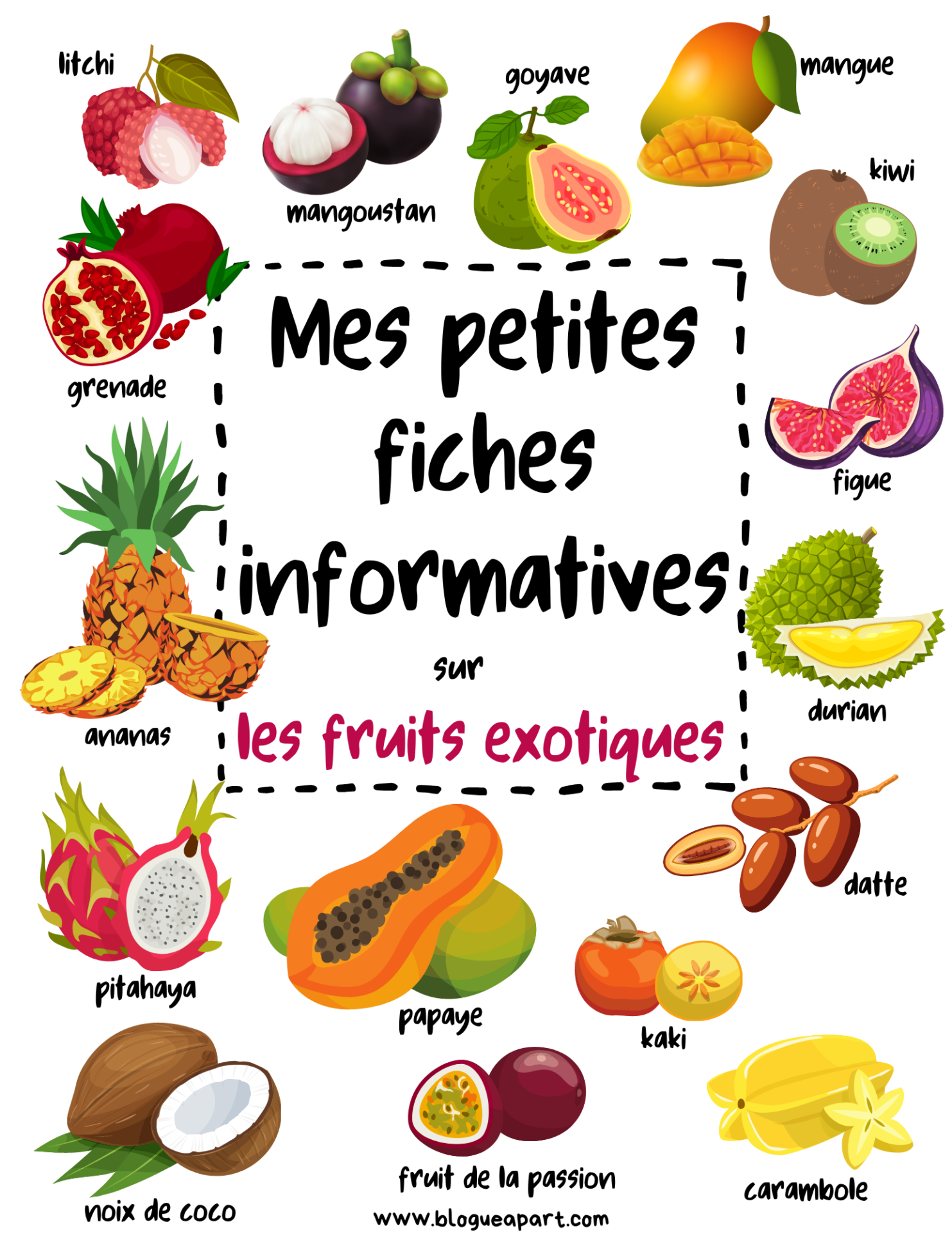 Comment classe-t-on les fruits et légumes par famille ? Actinutrition