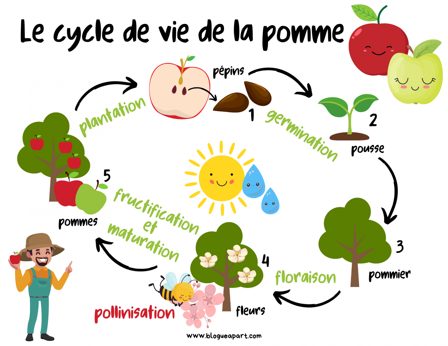 Les pommes Blogue à part